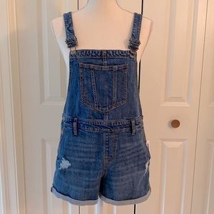 Denim Jean Shortalls